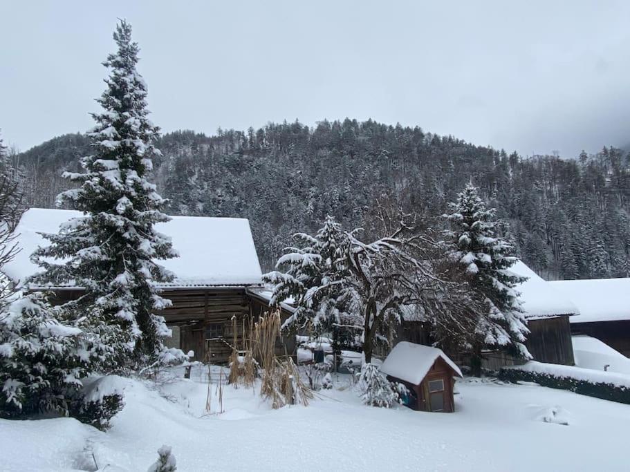 Panorama Wohnung Rungelin Bludenz Extérieur photo